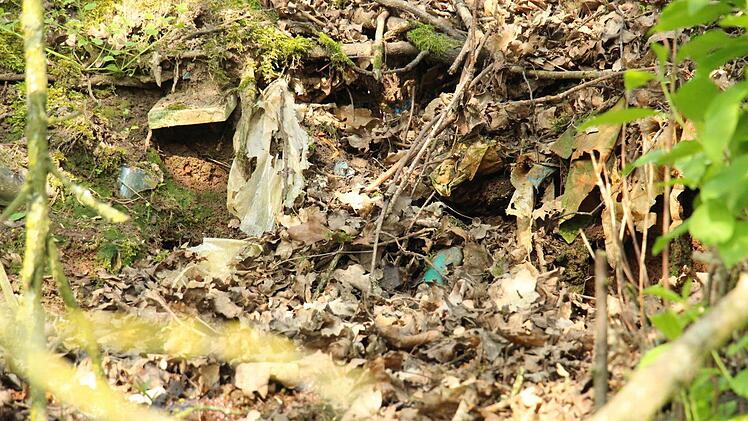 Jahrzehntealter Hausmüll quillt aus der Böschung der stillgelegten Deponie bei Lonnerstadt. Foto: Christian Bauriedel