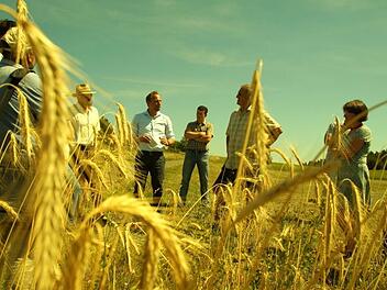 Am Ackerrand informierte sich Minister Thorsten Glauber (4. v. r.) &uuml;ber die Artenvielfalt des &ouml;kologischen Landbaus.  alle Fotos: Joseph Beck