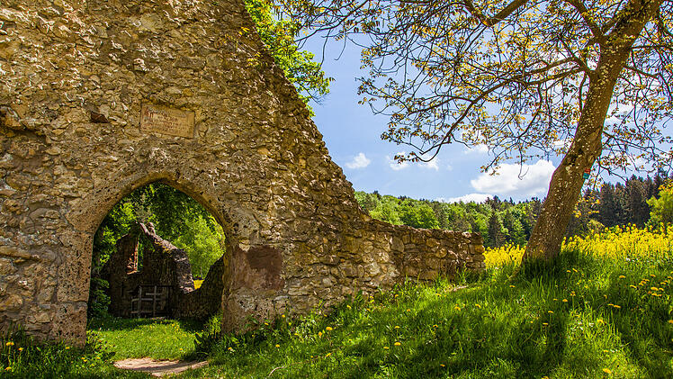 True Crime inmitten des Nürnberger Landes: Die Kapellenruine zum Heiligen Baum bei Arzlohe