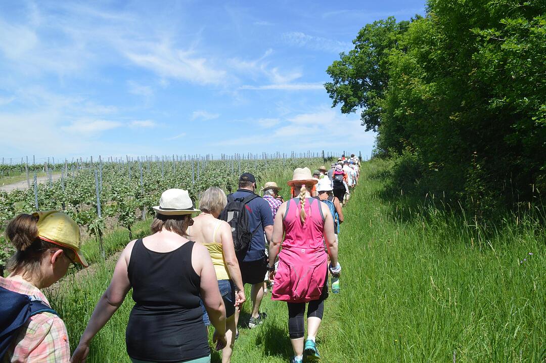 Landkreiswanderung 2017