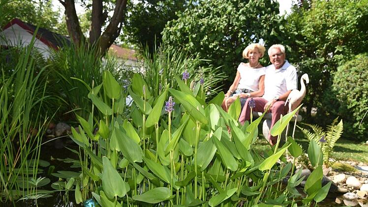 Die kleine Bank am Gartenteich ist ein Lieblingsplatz von Sonja und Kurt Bernreuther. Foto: Gabi Arnold
