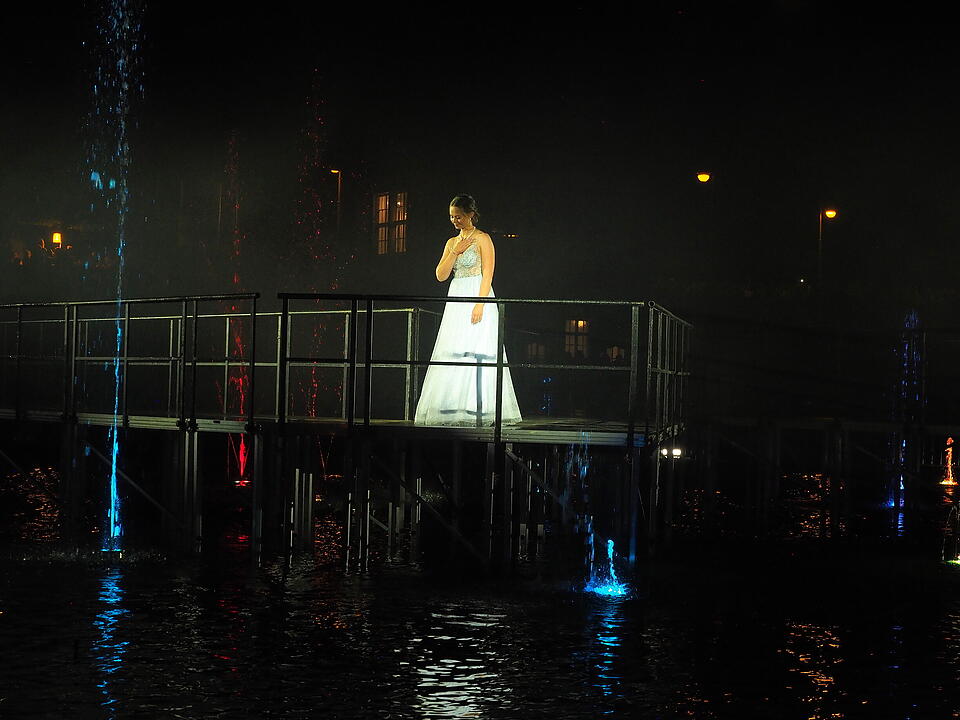 Eine Lichtshow mit Wasser, Feuer, Nebel und Musik im Rosengarten, die historische Pers&ouml;nlichkeiten ehrt.