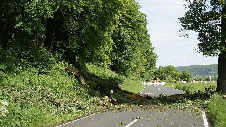 Ein großer Baum war bereits in der vergangenen Woche auf die Fahrbahn bei Dippach gestürzt. Er bleibt dort auch noch eine Weile liegen, denn Aufräumarbeiten sind in dem Bereich derzeit sehr gefährlich. Foto: sw
