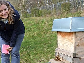 Lehrerin Amancay Greulich beobachtet es mit Freude: Die ersten Bienen verlassen nach der Umsiedlung ihr Zuhause.