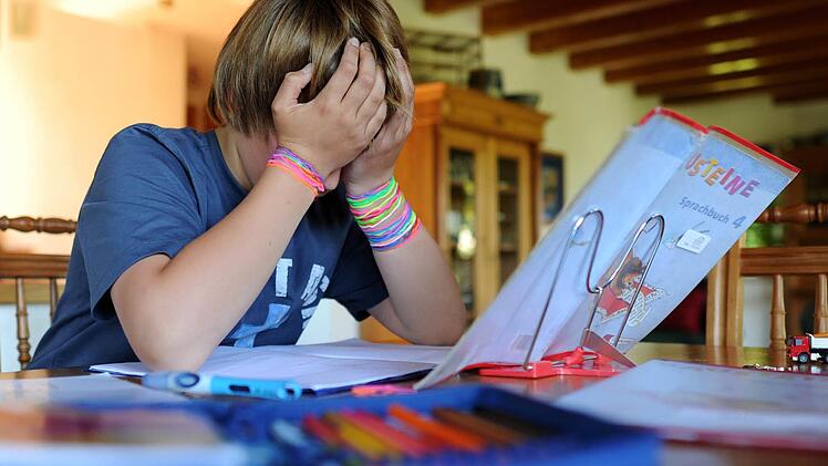 Es ist zum Verzweifeln: Schüler haben es nicht leicht. Symbolbild: dpa
