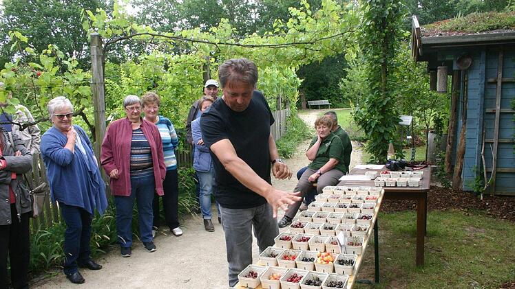 Kreisfachberater Thomas Nedererl&auml;utert die verschiedenen Kirschsorten. Foto: Martin Rebhan