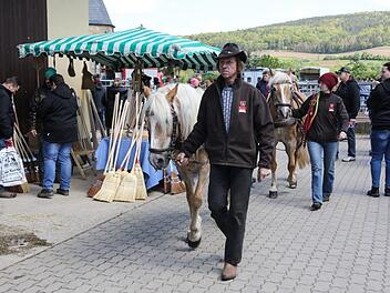 Auf dem Pferdemarkt in Mürsbach war viel gebotenFoto: Barbara Herbst