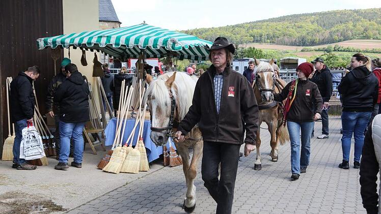 Auf dem Pferdemarkt in Mürsbach war viel gebotenFoto: Barbara Herbst
