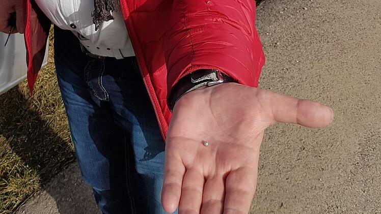 Diese kleinen Kugeln fand die Polizei rund um den Lkw in Ramsthal. Foto: Susanne Will