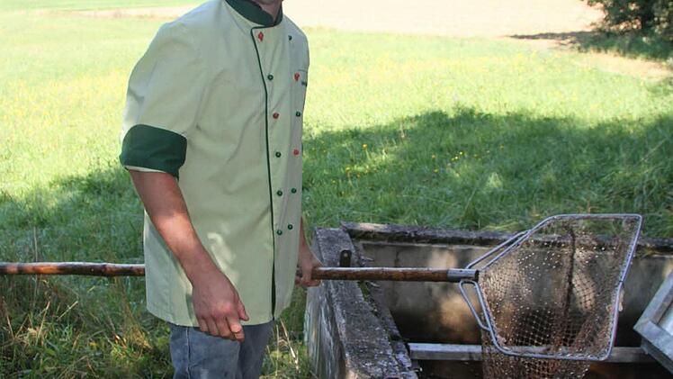 Johannes Haueis holt Forellen und Karpfen täglich frisch mit dem Netz aus dem Behälter heraus. Vor allem bei Karpfen ist es wichtig, dass sie rund eine Woche im klaren Wasser schwimmen können. Dann schmecken sie auch nicht modrig.