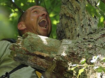 Mit einem Schrei wirft Carsten Rohde das Seil um den Baum. Er braucht mehrere Anläufe. Fotos: Ulrike Müller