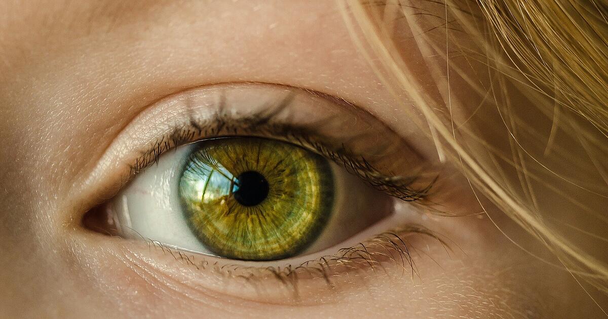 Qual è il rischio di morte prematura?  Studia con risultati sorprendenti