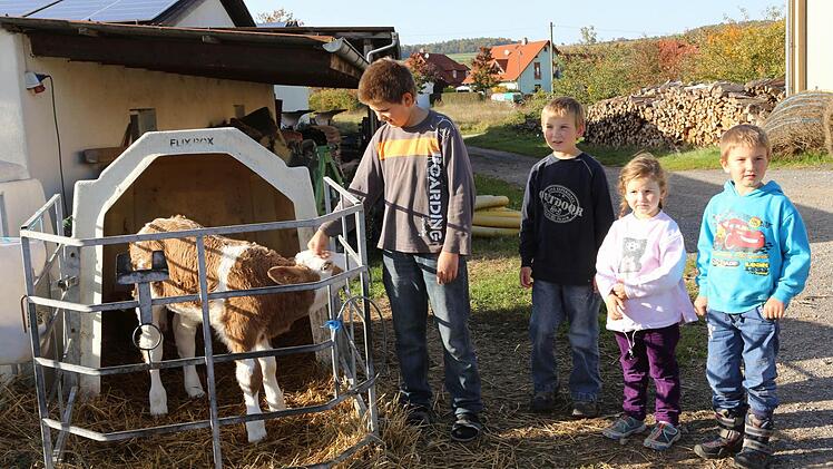 Irene Höfler schmeißt mit ihrem Mann und ihren sechs Kindern einen Bauernhof - ganz ohne Hilfe von RTL. Foto: Barbara Herbst