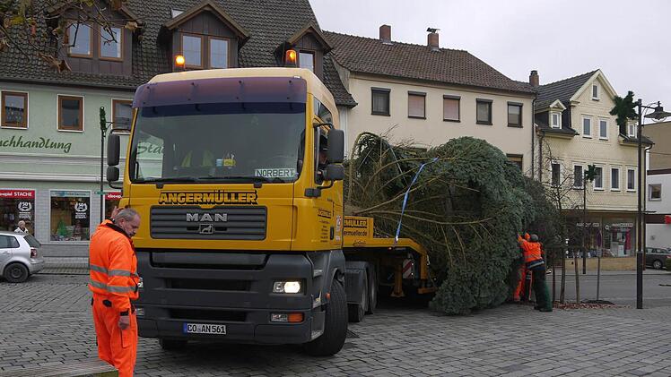 Aufstellung des Neustadter Weihnachtsbaumes Foto: Berthold Köhler