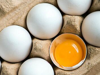 Bei Kontrollen wurden in Freilandeiern Eiern aus Freilandhaltung Salmonellen nachgewiesen. Auch bayerische Superm&auml;rkte sind betroffen. Symbolfoto: Armin Weigel/dpa.