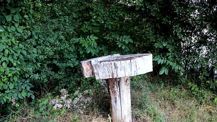 Dieser Tisch soll eine neue Platte, eventuell eine Baumscheibe, bekommen.   Foto: Johanna Blum