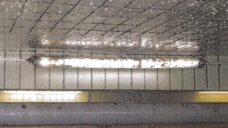 Schwarz- und rotschimmelähnlich verunreinigte Decke und Elektroinstallationen oberhalb der Keimkästen. Quelle: Foodwatch