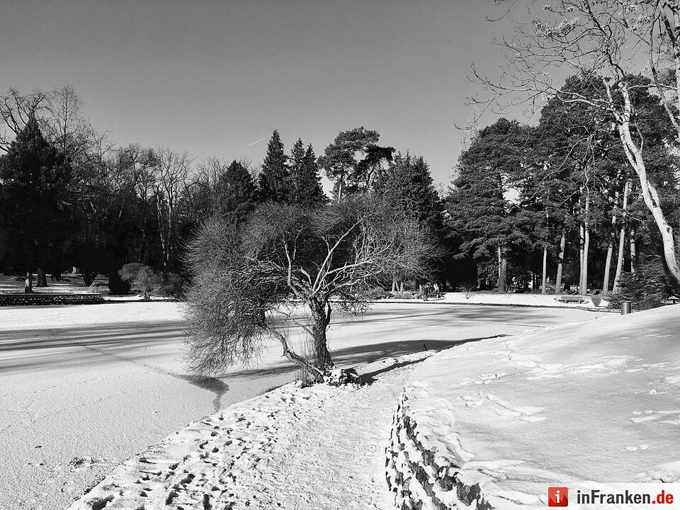 Eis und Schnee in Franken - die schönsten Winterleserfotos