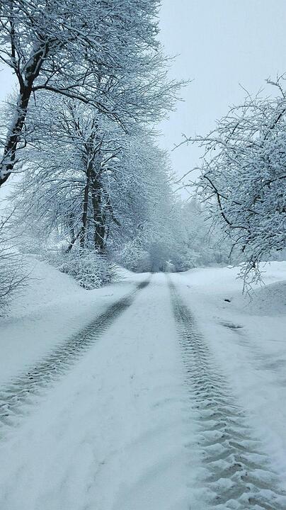 Schnee und Eis - Die schönsten Aufnahmen aus Franken