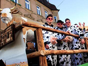 Faschingszug Forchheim Foto: Josef Hofbauer