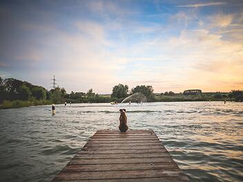 See, Hund, Badesee