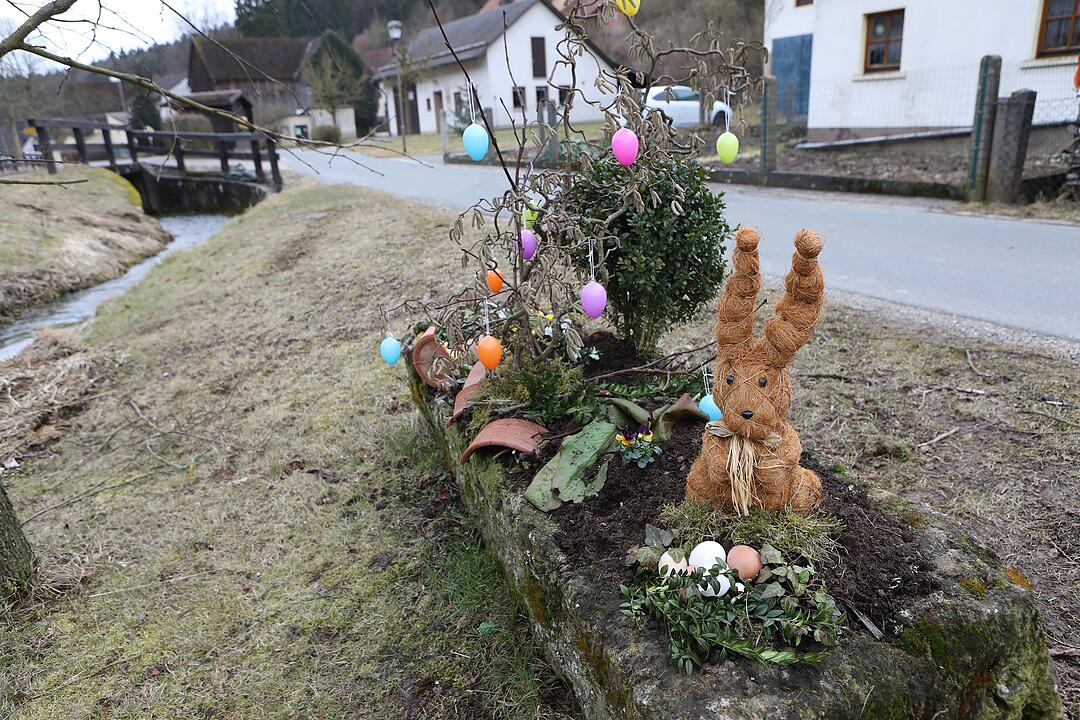 Frühling in Franken: Das Leben erwacht