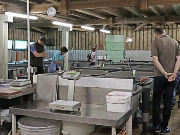 Beim Fischerfest in Aufse&szlig; k&ouml;nnen Besucher auch das Bruthaus der Lehranstalt f&uuml;r Fischerei besichtigen.