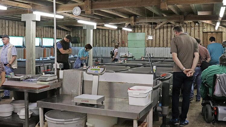 Beim Fischerfest in Aufse&szlig; k&ouml;nnen Besucher auch das Bruthaus der Lehranstalt f&uuml;r Fischerei besichtigen.