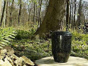 Baumbestattungen werden immer beliebter, hier ein Foto aus einem Friedwald.   Foto: Friedwald