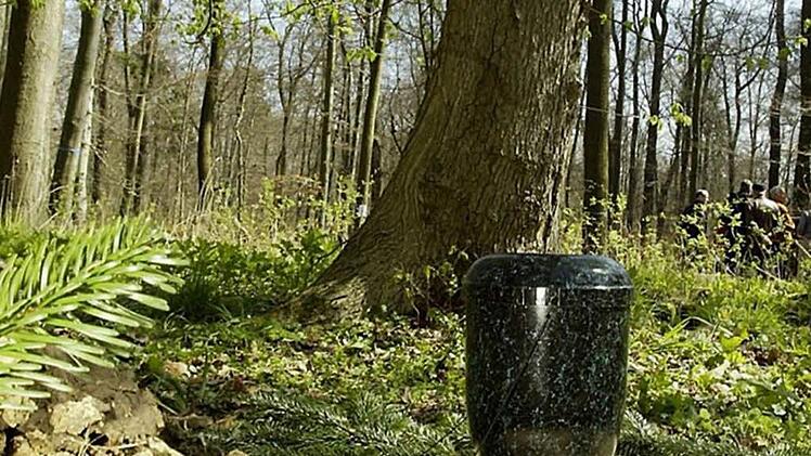 Baumbestattungen werden immer beliebter, hier ein Foto aus einem Friedwald.   Foto: Friedwald