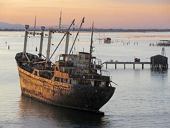 In der Hafeneinfahrt von Chioggia gibt es nicht nur Schiffswracks zu entdecken.  Fotos: Christel Kolb