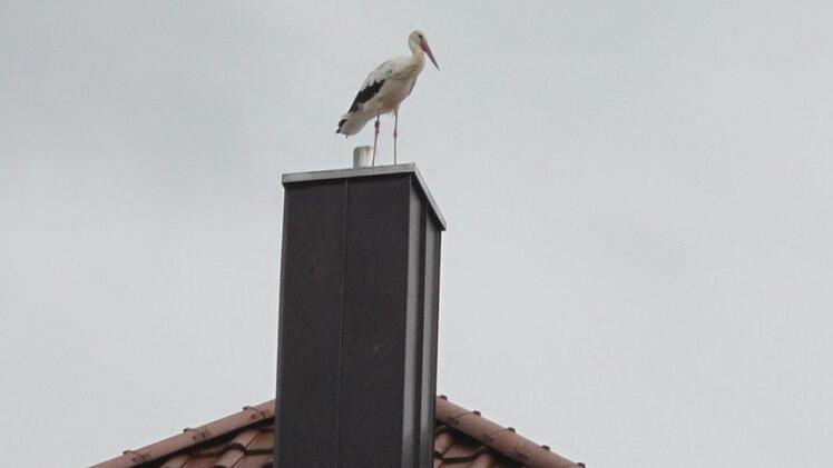 Foto: Heinrich Kattenbeck