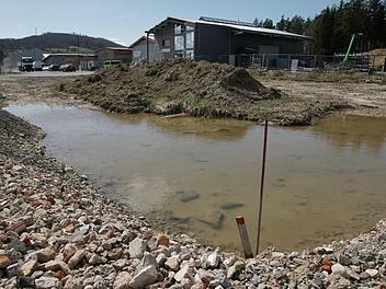 Das städtische Gewerbegebiet Buchrasen hat sich in den vergangenen Monaten gefüllt. Alle Grundstücke sind verkauft. Jetzt steht die Frage, wie es weitergeht. Foto: Steffen Standke