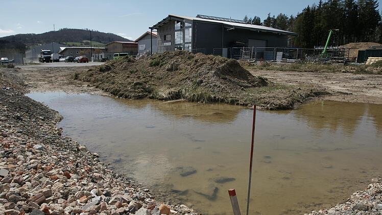 Das städtische Gewerbegebiet Buchrasen hat sich in den vergangenen Monaten gefüllt. Alle Grundstücke sind verkauft. Jetzt steht die Frage, wie es weitergeht. Foto: Steffen Standke
