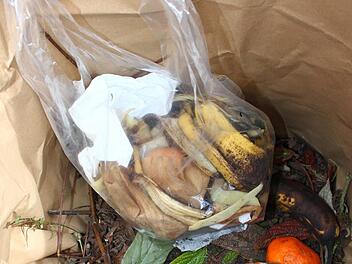 Halb richtig, halb falsch: Der Papiersack in der Biotonne zur Reinhaltung geht in Ordnung - dass aber Bananenschalen und Kaffeesatz samt Plastik weggeworfen werden, ist nicht im Sinn des Erfinders.Jochen Nützel