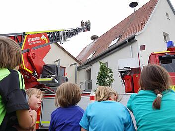 Mit der Drehleiter geht es hinauf zum Nest. Fotos: Arkadius Guzy