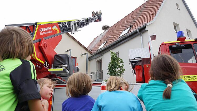 Mit der Drehleiter geht es hinauf zum Nest. Fotos: Arkadius Guzy