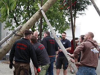 Zügig wurde der Burgstaller Kerwasbaum aufgerichtet.Richard Sänger