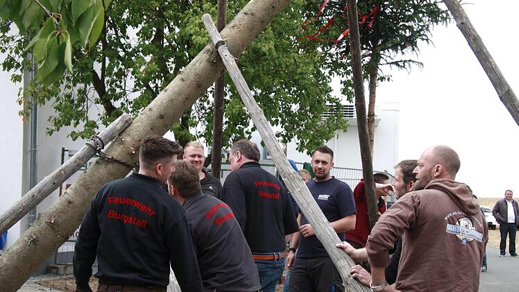Zügig wurde der Burgstaller Kerwasbaum aufgerichtet.Richard Sänger
