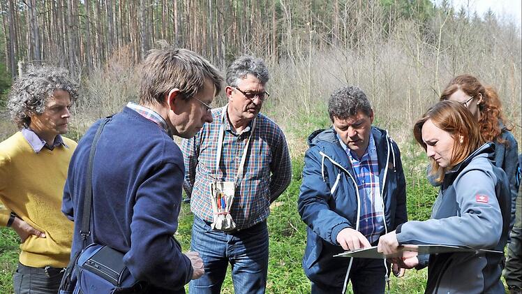 Bürgermeister Carsten Joneitis (2.v.r.) mit den Experten (v.l) Bernhard Struck, Markus Blaschke, Joachim Heusinger und Rita Satzger. Hinter der Gruppe sieht man neu gepflanzte (noch unbelaubte) Schwarzerlen, dahinter den alten Fichtenbestand. Fotos: Gemeinde Oberhaid