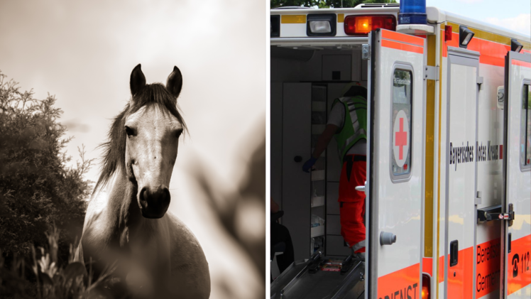 Die Frau wurde durch das Pferd t&ouml;dlich verletzt.