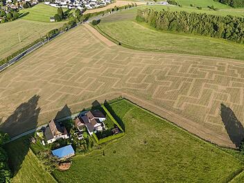 Das Maislabyrinth in M&uuml;nchberg hat die Sommerferien &uuml;ber ge&ouml;ffnet.
