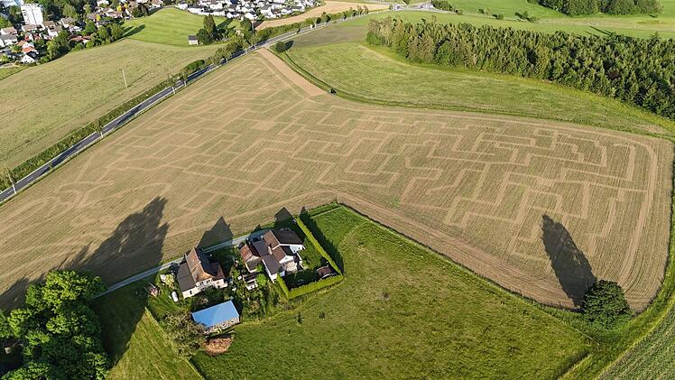 Das Maislabyrinth in M&uuml;nchberg hat die Sommerferien &uuml;ber ge&ouml;ffnet.