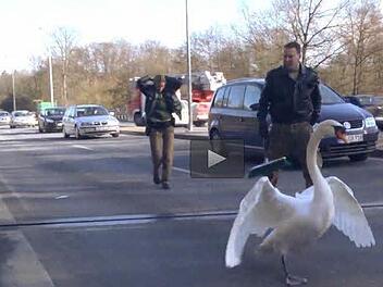 Screenshot: Video, Radio Bamberg
