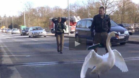 Screenshot: Video, Radio Bamberg