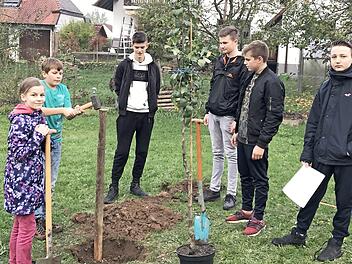 Die Sch&uuml;ler pflanzen Obstb&auml;ume. Foto: Mittelschule Neunkirchen am Brand