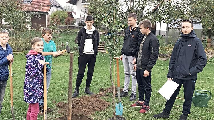 Die Sch&uuml;ler pflanzen Obstb&auml;ume. Foto: Mittelschule Neunkirchen am Brand
