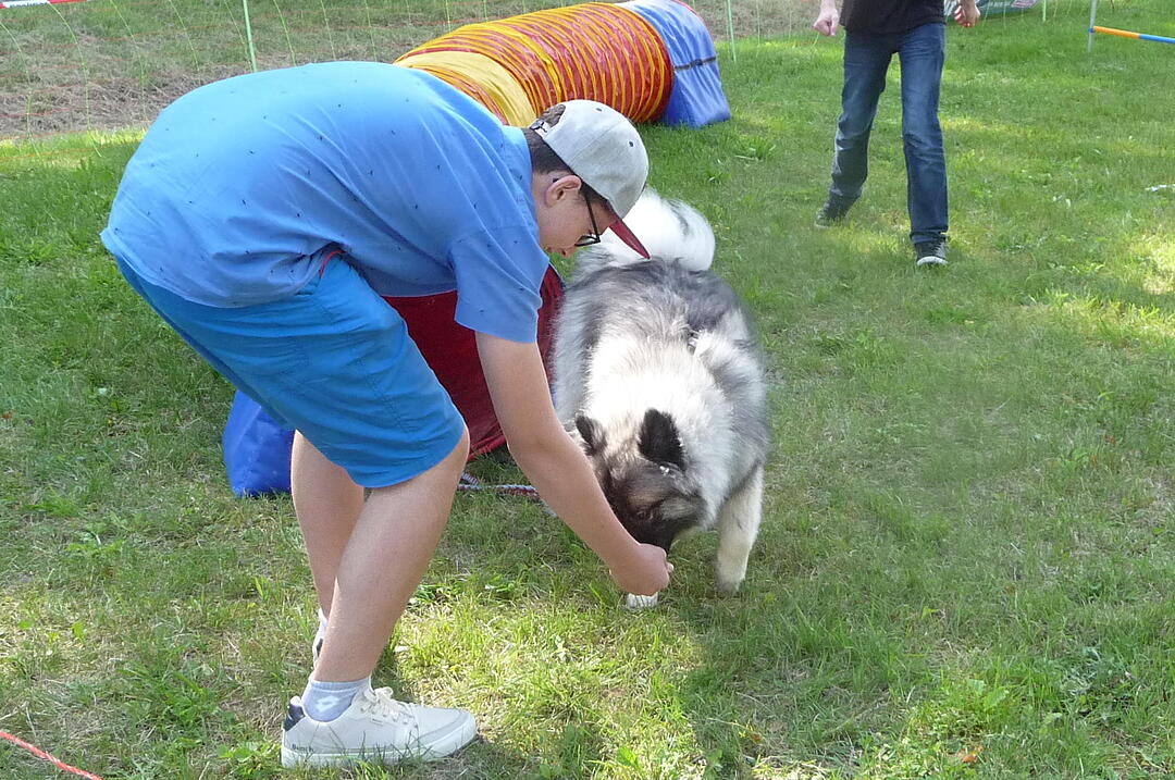 19.8.2017 Tierheimfest Kulmbach
