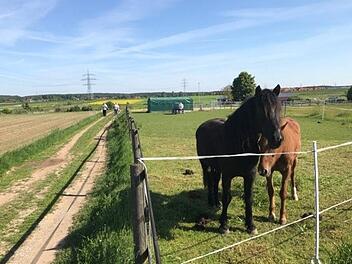 Weite Wanderungen, viel Natur, wenig Väter, wenig Einkehr - das Leben als echter Vater ist hart. Foto: mb