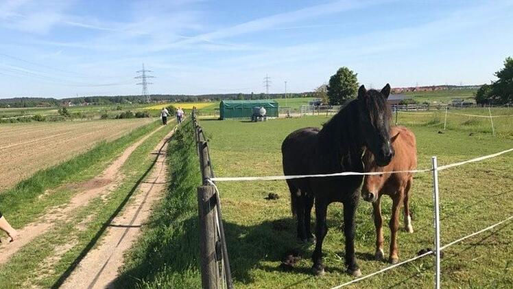 Weite Wanderungen, viel Natur, wenig Väter, wenig Einkehr - das Leben als echter Vater ist hart. Foto: mb